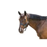 Licol pour cob kentucky breakaway