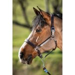Licol en cuir pour cheval hfi two - tone