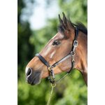 Licol cuir coutures creme pour cheval hfi poney mixte marron