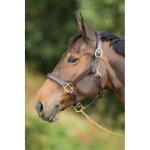 Licol en cuir doubl� pour cheval hfi raised