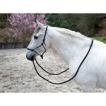 Licol ethologique norton avec rnes noir taille cheval