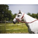 Licol ethologique norton avec rnes rouge taille cheval