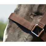 Licol norton cheval de trait marron