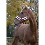 Licol norton  confort  - couleur : bordeaux, bouclerie coloris or rose, taille : cheval