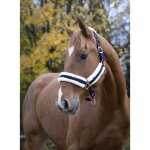 Licol norton  confort  - couleur : marine, bouclerie coloris or rose, taille : cheval, equitation