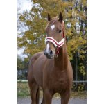 Licol norton  confort  - couleur : rouge, bouclerie coloris argent, taille : cheval