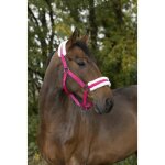Licol norton confort framboise taille poney, equitation Licol norton confort framboise taille poney, equitation