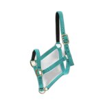 Licol norton doubl� cuir