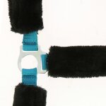 Licol norton  full mouton synthtique  bleu electrique mouton noir