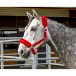 Licol norton  mouton synthtique  choco taille poney