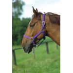 Licol nylon norton doublé cuir - couleur : violet, taille : pur - sang, equitation Licol nylon norton doublé cuir - couleur : violet, taille : pur - sang, equitation