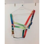 Licol nylon triple epaisseur multicolore taille shetland