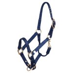 Licol pour poulain nylon reglable / laiton br equitation poulain mixte bleu