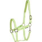 Licol vert non taille shetland horse guard