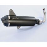 Ligne compl�te polini inox / carbone - vespa 300