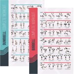 Lot de 2 posters fitness d'exercices d'entrainement a l'haltres - affiche fitness de routine sportive ...