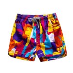 Maillot de bain pour hommes, culotte d'été, short de bain décontracté, vêtements classiques, court de ... Maillot de bain pour hommes, culotte d'été, short de bain décontracté, vêtements classiques, court de ...