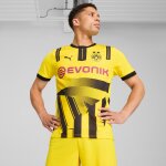 Maillot de la coupe 24 / 25 borussia dortmund homme Maillot de la coupe 24 / 25 borussia dortmund homme