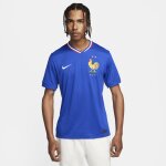 Maillot de foot replica nike dri - fit fff (equipe masculine) 2024 / 25 stadium domicile pour homme - ...