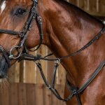 Martingale pour cheval dy'on working