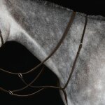 Martingale de course pour cheval weatherbeeta collegiate iv cob mixte marron