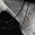 Martingale de course pour cheval weatherbeeta collegiate iv poney mixte noir