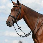 Martingale plate unie pour cheval weatherbeeta collegiate syntovia + cob mixte noir
