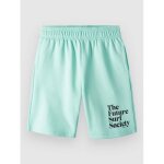 O'neill future surf kids short bleu
