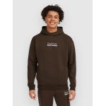 O'neill the future surf society sweat a capuche marron