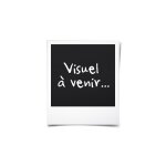 Pack convertisseur de tension 24 - 220v 1200w avec telecommande - micro - onde hign one 220v 20l 700w ...