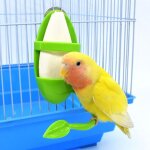 Panier a lgumes et fruits en forme de seiche, oiseau perroquet, squelette, tige debout, clip d'alimentation ...