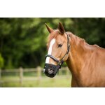 Panier muselière norton pour cheval Panier muselière norton pour cheval