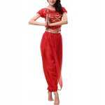 Pantalon de danse orientale indian dancing back