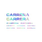 Pegatinas cuadro bici carrera