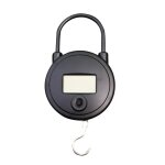 Peson electronique 25 kg graduation en 10g