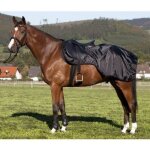 Pfiff 100247 - 60 couvre - reins noir demi - sang