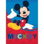 Plaid polaire mickey mouse couverture polaire