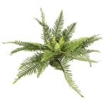Plante d'int�rieur terrarium terra della