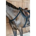 Plastron elastique dy'on