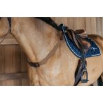 Plastron elastique dy'on