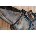 Plastron elastique dy'on