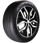 Pneu delinte ds2 suv ( 245 / 65 r17 107h ) Pneu delinte ds2 suv ( 245 / 65 r17 107h )
