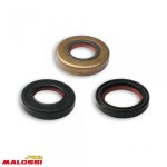 Pochette joint spi bas moteur malossi pour moto mbk 50 xpower 1997 6615757 neuf
