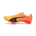 Pointes d'athl�tisme evospeed 400 nitro? 2 - 39