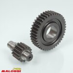 Pont arri�re de transmission malossi pour scooter piaggio 125 x8 2004 6712067 / htq gears 15x41 neuf