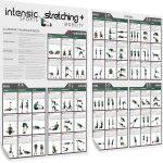 Poster d'�tirement + mobility60 exercices de fitness pour s'�tirer et se mobiliser i plus de mobilit� ...