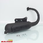 Pot d echappement malossi pour scooter peugeot 50 vivacity 2t 1999 wild lion / 3216584 neuf