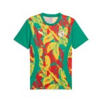 Puma maillot d�avant - match s�n�gal 2025 homme, sport, sport vert / faster jaune / rouge, xs