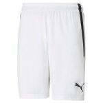 Puma teamliga football shorts men, sport, blanc / noir, l