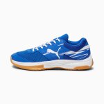 Puma chaussures de handball varion ii, chaussures, royal / blanc / gum, 40. 5